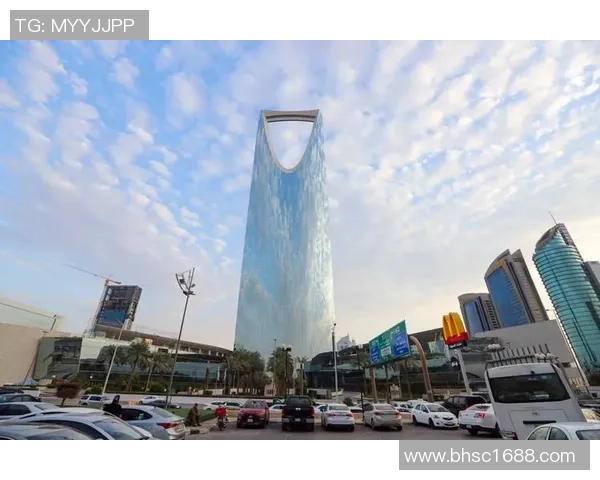 沙特2030愿景实施现状与未来发展潜力评估分析 沙特2030愿景实施现状与未来发展潜力评估分析